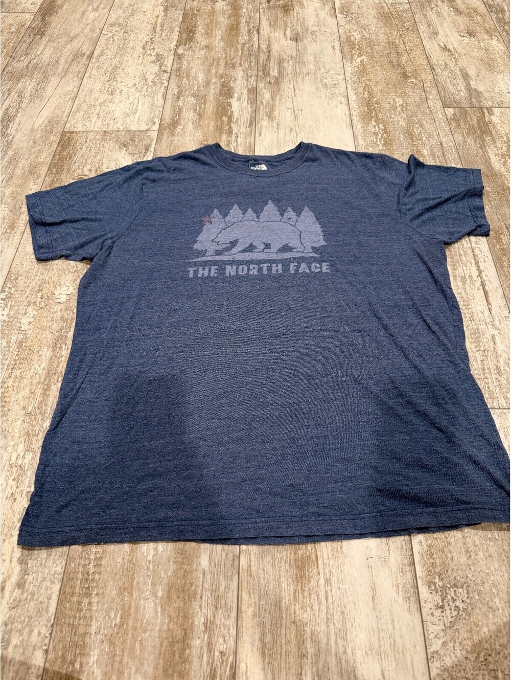 The North Face XXL Bear Graphic T Shirt Blue Slim Fit